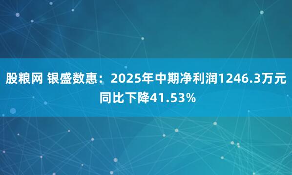 股粮网 银盛数惠：2025年中期净利润1246.3万元 同比下降41.53%