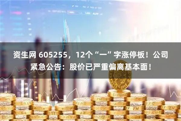 资生网 605255，12个“一”字涨停板！公司紧急公告：股价已严重偏离基本面！