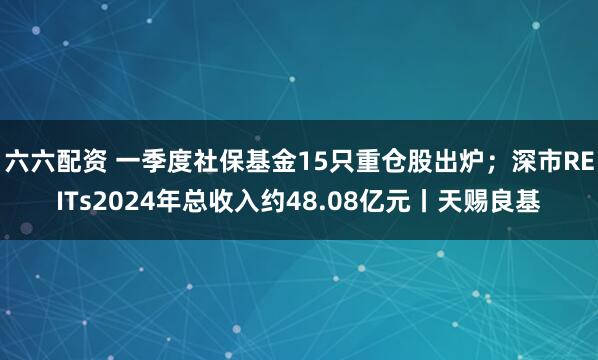 六六配资 一季度社保基金15只重仓股出炉；深市REITs2024年总收入约48.08亿元丨天赐良基
