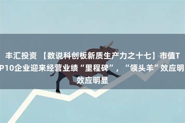 丰汇投资 【数说科创板新质生产力之十七】市值TOP10企业迎来经营业绩“里程碑”，“领头羊”效应明显