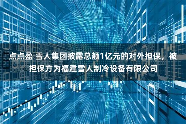 点点盈 雪人集团披露总额1亿元的对外担保,被担保方为福建雪人制冷设备有限公司