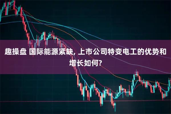 趣操盘 国际能源紧缺, 上市公司特变电工的优势和增长如何?
